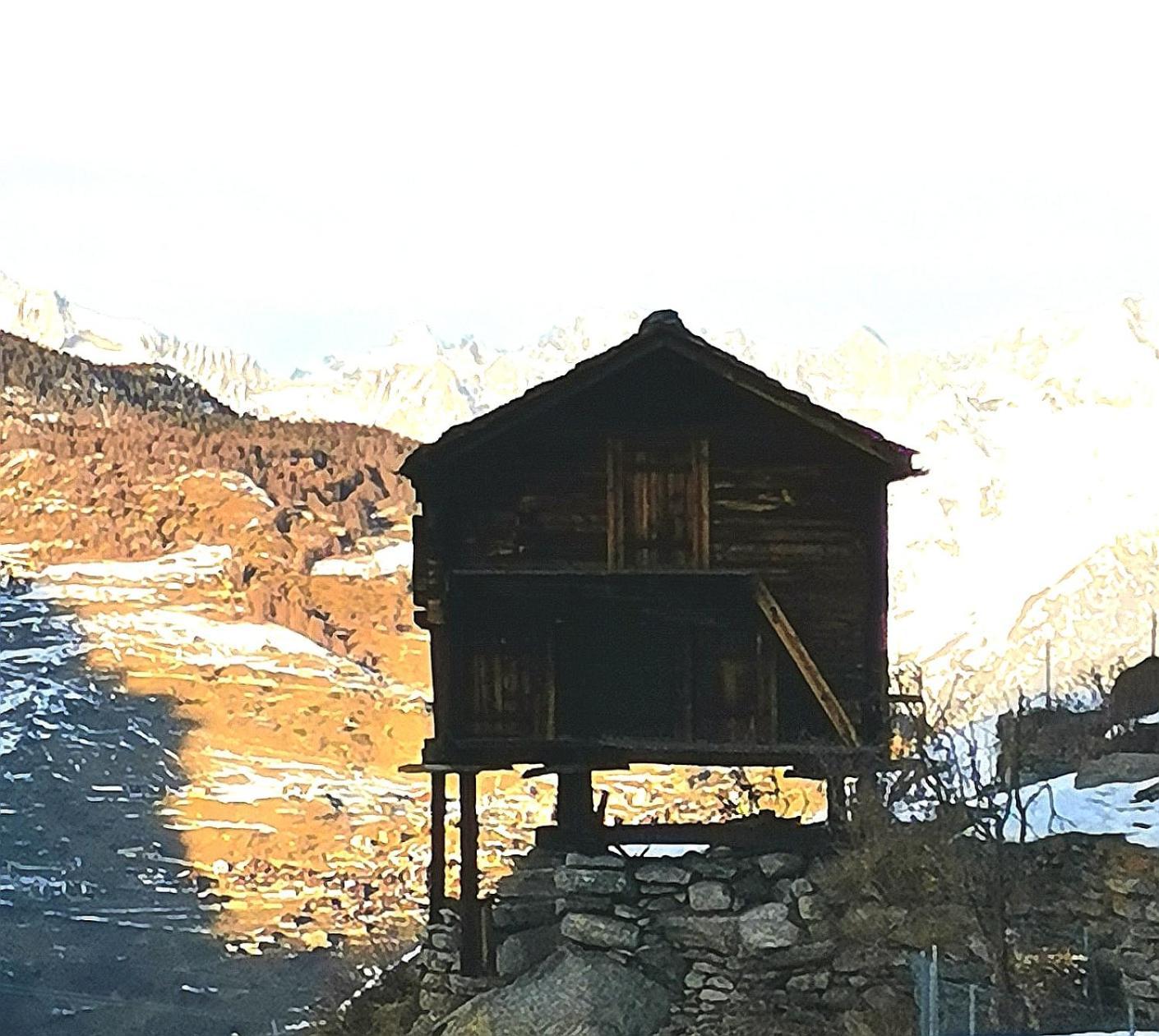 Alpina Hotel 3*