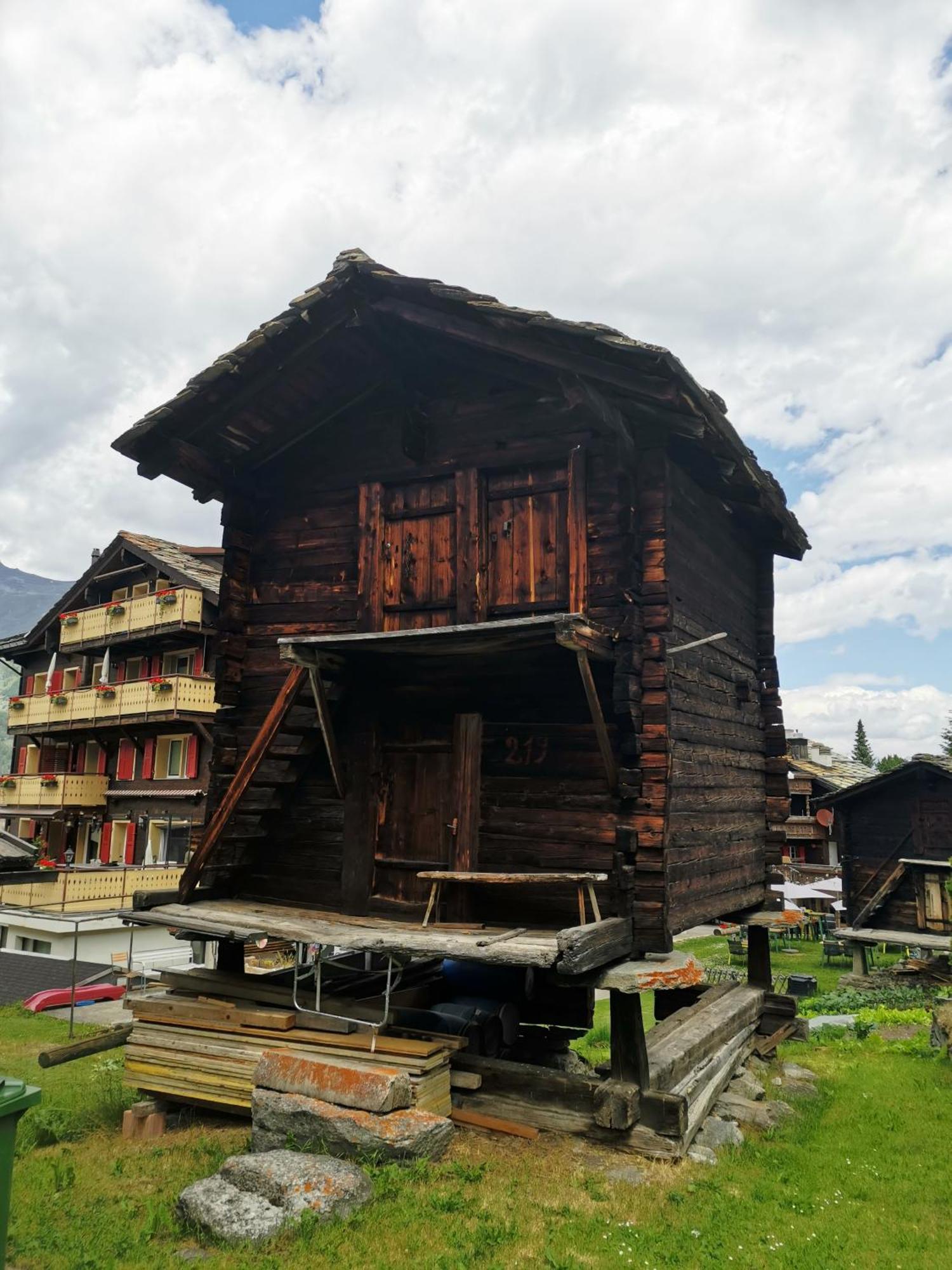 Hotel Alpina Grachen