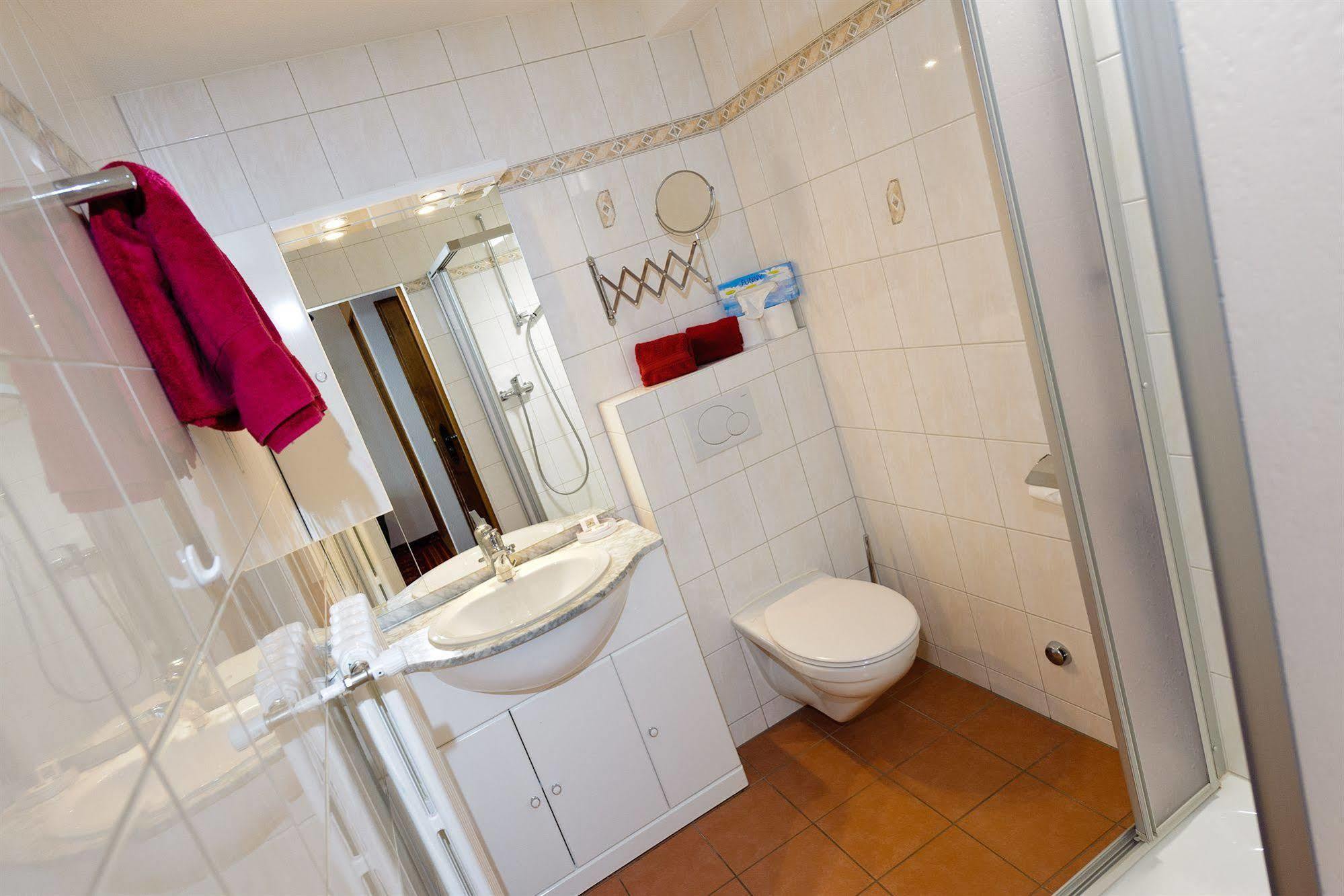 Hotel Alpina 3*